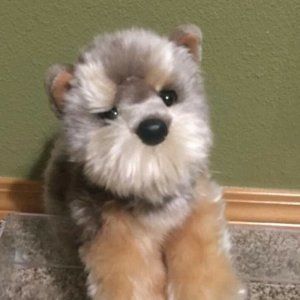 Yettie the Yorkie Douglas Plush No Swing Tag Almost Perfect Condition Cute 2019